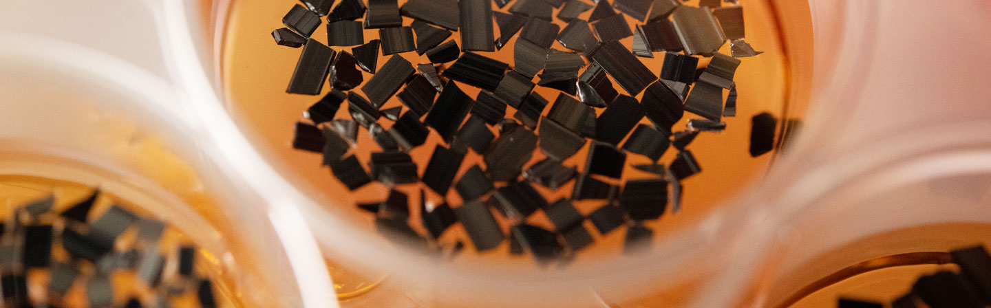 CarryPore: neue Materialbasis für Zellkulturträger
