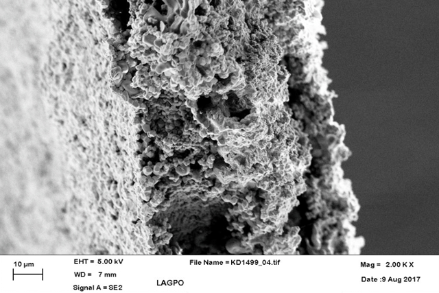 SEM image on fracture surface of cast electrolyte foil. SEM image on fracture surface of cast electrolyte foil.